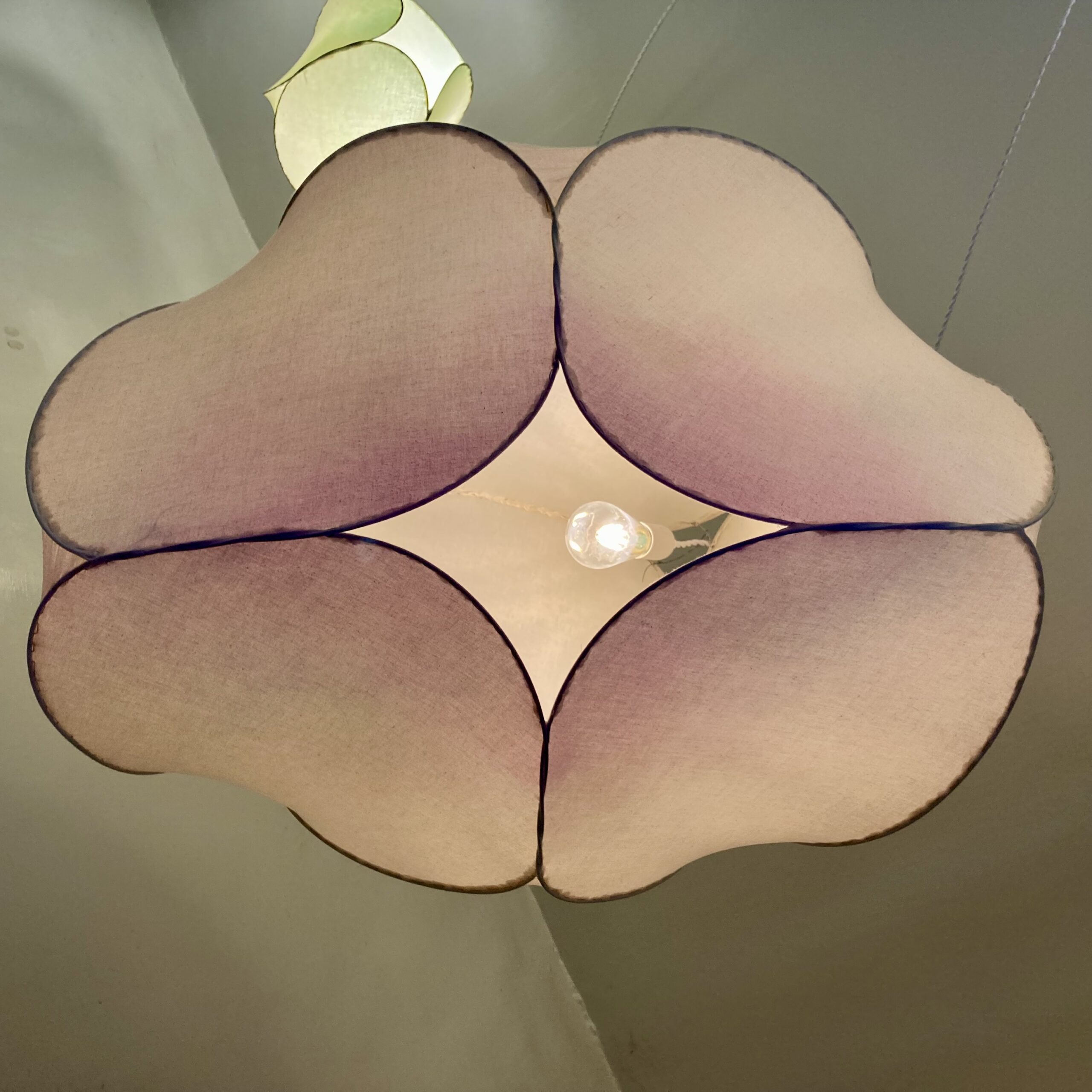 花吻
