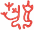 生之光藝